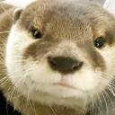 Voting for OtterBot