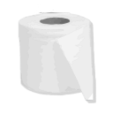 Toilet Paper