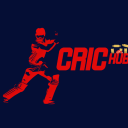 Voting for CricHub