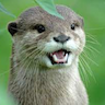 Thaotter