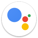 Voting for Google Assistant BETA