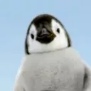 PenguinCraft