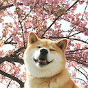 Happy_Doggy