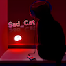 sadcat3