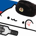 Voting for Bongo Cat