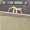 GET STICK BUGGED LOL