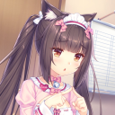 Voting for Chocola