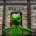 Voting for Kermit