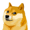 Voting for WTF DOGE