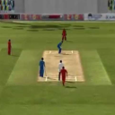 Cricket Simulation