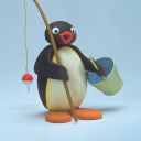 Noot Noot