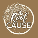 The Root Cause