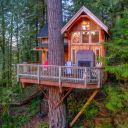 The Treehome