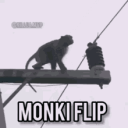 monke flippers