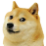 Doge's community🐕