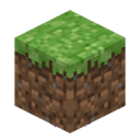 Grass Block (2 Years)