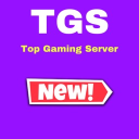 Top Gaming Server